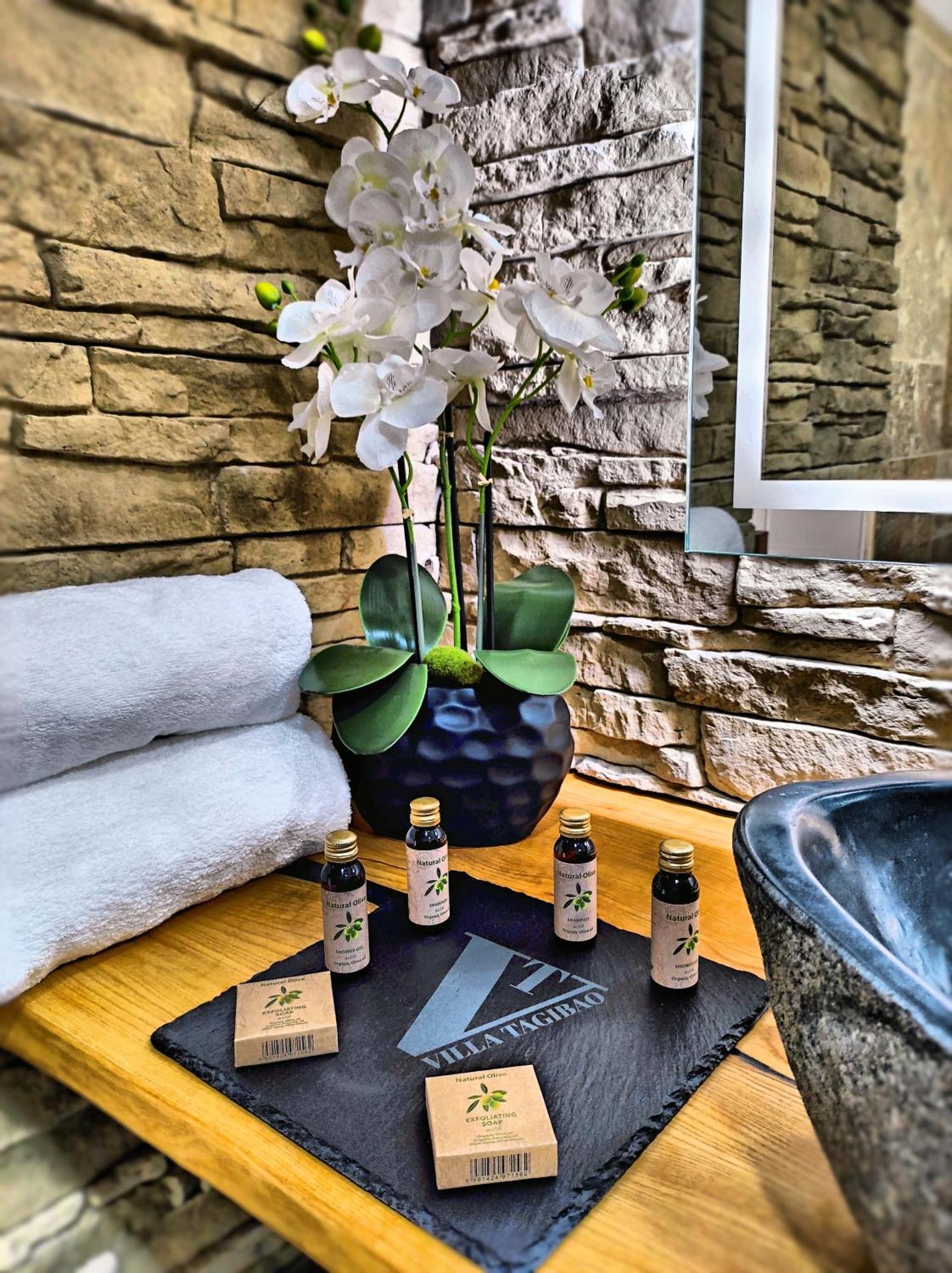 Villa Tagibao Avec Piscine Chauffee Et Spa Lesterps Dış mekan fotoğraf